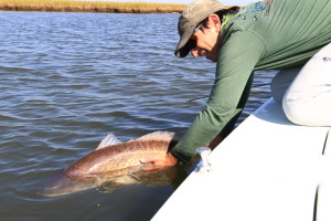 Redfish release