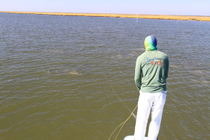 Fish on the flats