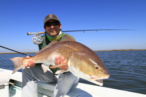 Redfish on the Marsh